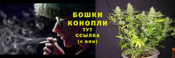 jwh Богородицк