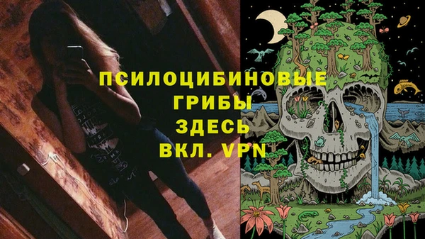 прущий лед Богданович