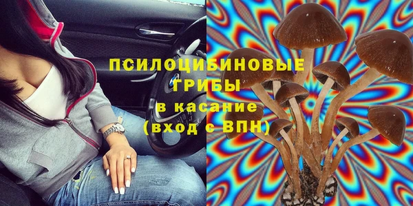 прущий лед Богданович