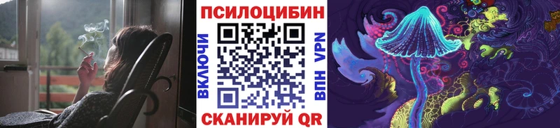 Псилоцибиновые грибы Cubensis Купить закладки Курганинск